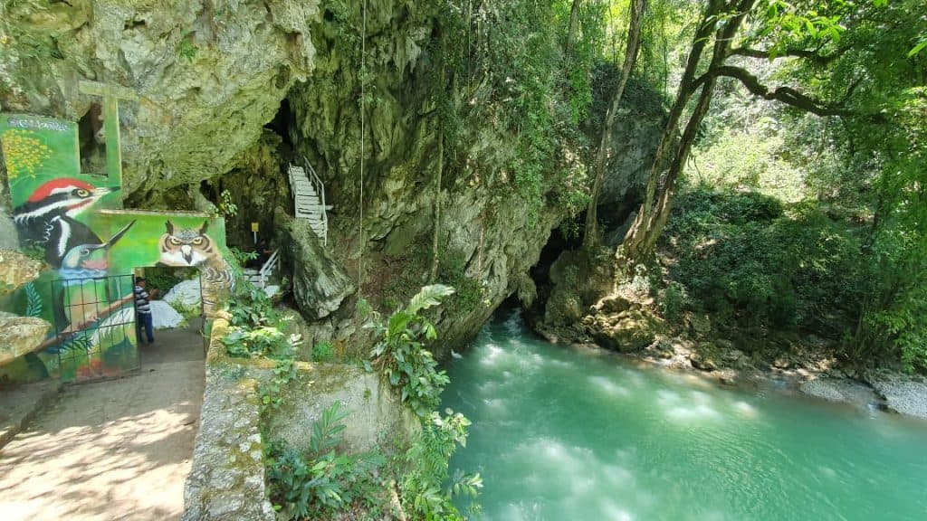 Imágenes del paraíso natural en México, como las cascadas y ríos en bosques exuberantes, ideales para turismo ecológico y aventuras al aire libre. – SoyMigrante.com REVISTA