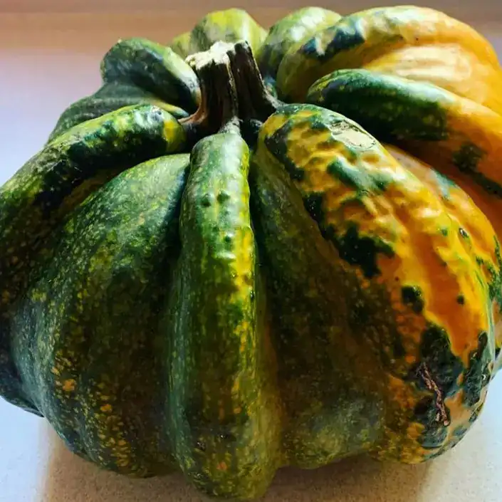 El güicoy es un manjar y otro súper ingrediente  guatemalteco