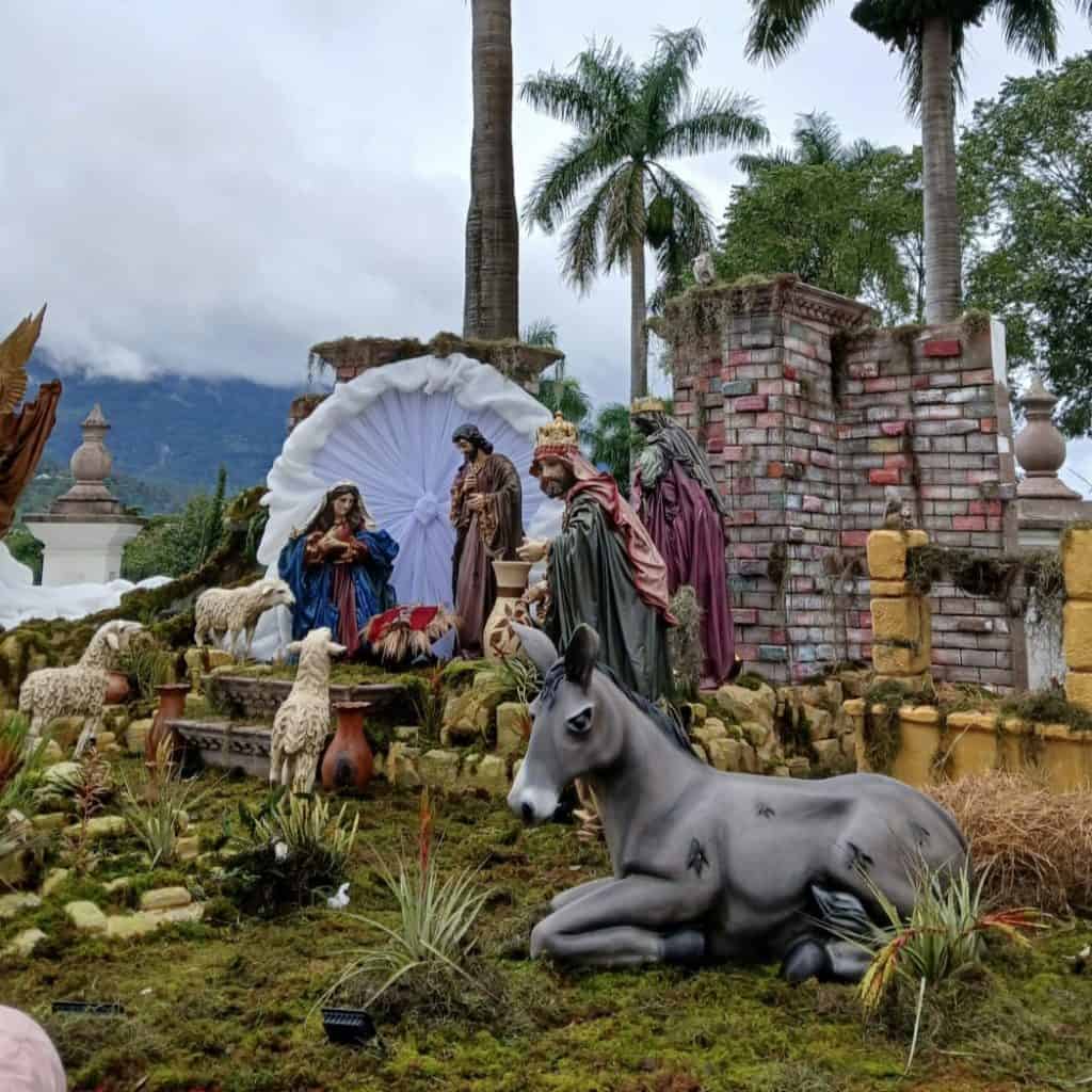 Refugio navideño con figuras de la Natividad, incluyendo el burro, en un ambiente natural con palmeras y montañas de fondo, ideal para celebrar la temporada en comunidades migrantes y apoyar la cultura mexicana. – SoyMigrante.com REVISTA