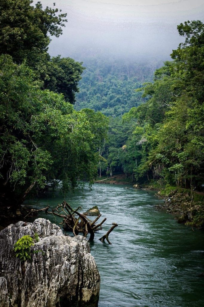 Biodiversidad en el río de la selva amazónica en la revista SoyMigrante.com Revista. – SoyMigrante.com REVISTA