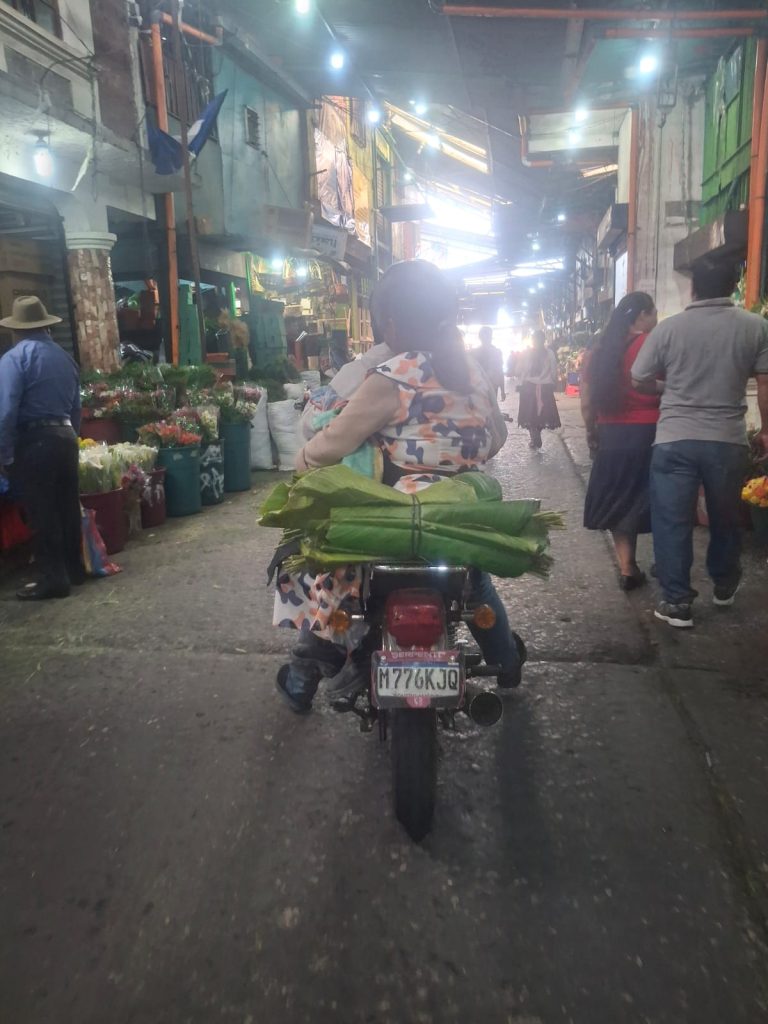 Las hojas de maxán son la promesa de un tamal humeante el próximo 24. En carro, en moto o en taxi, los compradores van en busca de lo que falta para celebrar, aunque sea humildemente, el 24. – SoyMigrante.com REVISTA Las hojas de maxán son la promesa de un tamal humeante el próximo 24. En carro, en moto o en taxi, los compradores van en busca de lo que falta para celebrar, aunque sea humildemente, el 24. – SoyMigrante.com REVISTA