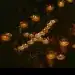Velas encendidas en honor a migrantes, símbolo de memoria y esperanza en la comunidad migrante en homenaje en SoyMigrante.com REVISTA.