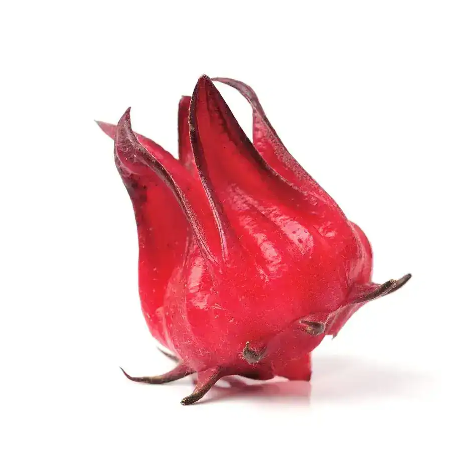 Cultivo y cosecha de la Rosa de Jamaica en Guatemala tiene más de cuatro siglos