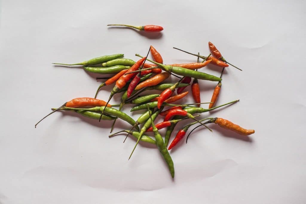 Pimientos de chile rojo y verde variados dispersos sobre fondo blanco, ingredientes típicos en la gastronomía latinoamericana, simbolizando cultura y tradición culinaria.