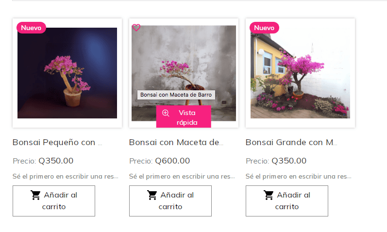 El arte del bonsái la pasión que cultiva Jeconias Guzmán – SoyMigrante.com REVISTA