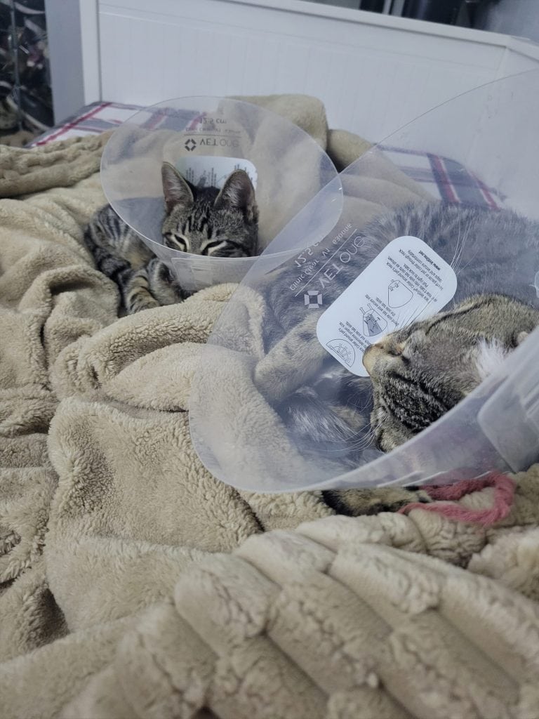 Iris Díaz: Fortaleza en medio del fuego en Pasadena