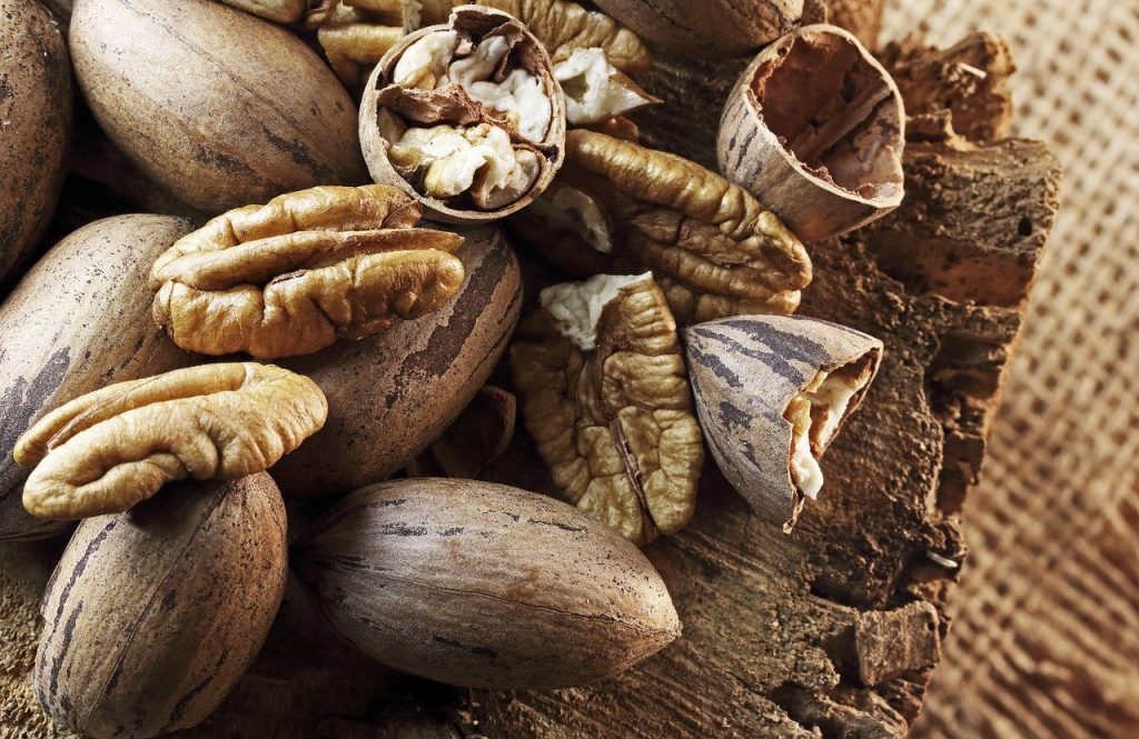 Nueces y semillas beneficios nutricionales y su impacto en la salud3 – SoyMigrante.com REVISTA Nueces y semillas: beneficios nutricionales para la salud – SoyMigrante.com REVISTA