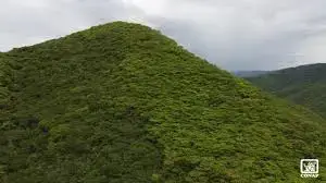 Parque Sierra de las Minas3 – SoyMigrante.com REVISTA Parque Sierra de las Minas: Un tesoro natural de Guatemala – SoyMigrante.com REVISTA