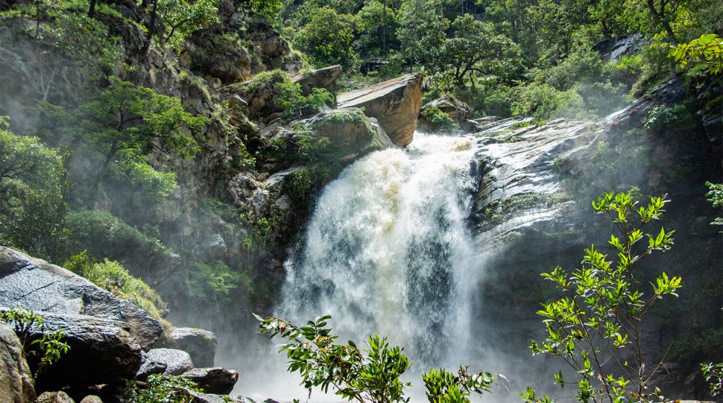 Parque Sierra de las Minas4 – SoyMigrante.com REVISTA Parque Sierra de las Minas: Un tesoro natural de Guatemala – SoyMigrante.com REVISTA