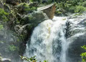 Cascada natural en la selva con vegetación exuberante, agua cristalina y rocas, entorno de naturaleza en un paisaje de río de agua en movimiento, ideal para exploradores y amantes de la naturaleza en el sur de América Latina. – SoyMigrante.com REVISTA