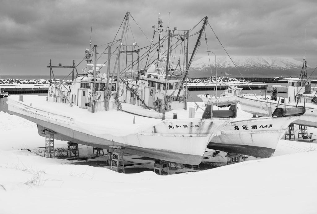 Riesgos climáticos en Estados Unidos: una guía por región – SoyMigrante.com REVISTA