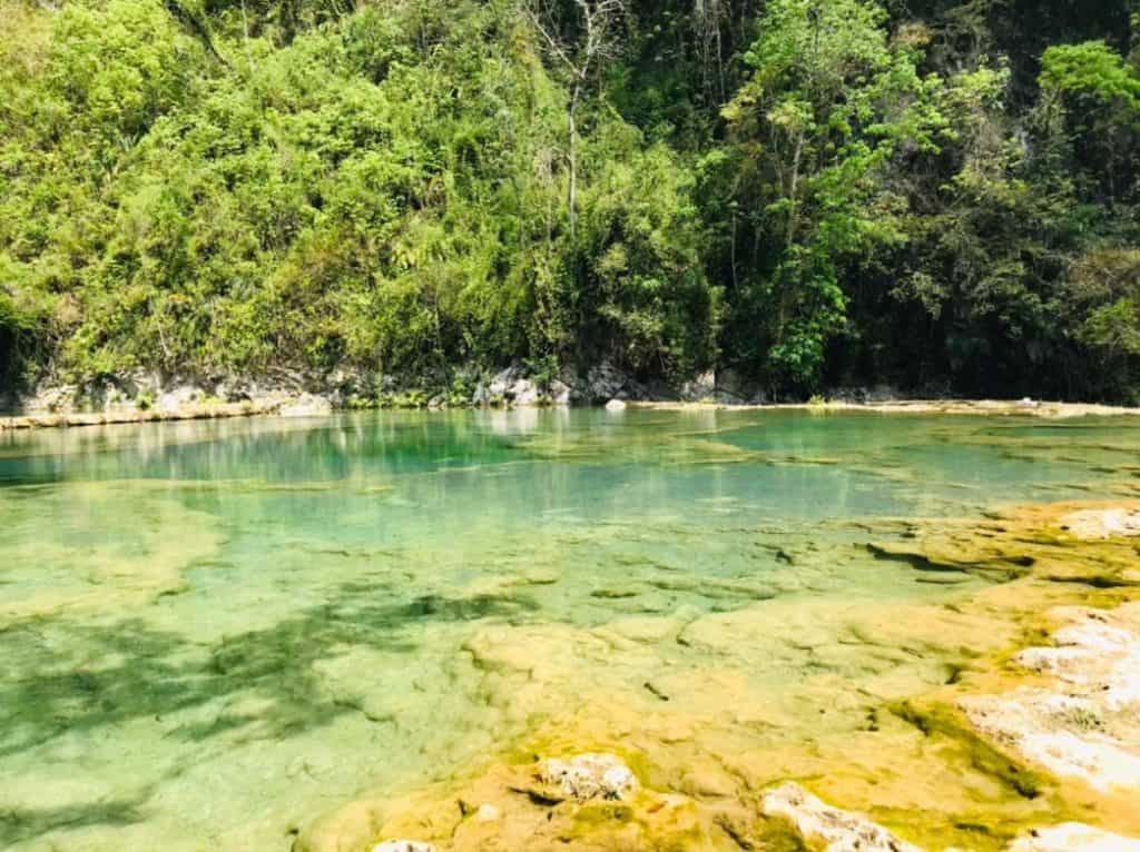 Semuc Champey: Un paraíso natural escondido en Alta Verapaz – SoyMigrante.com REVISTA
