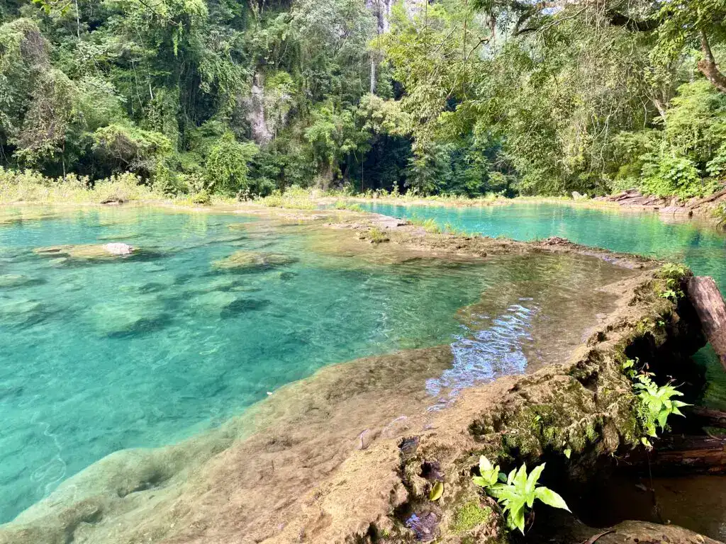 Semuc Champey: Un paraíso natural escondido en Alta Verapaz – SoyMigrante.com REVISTA
