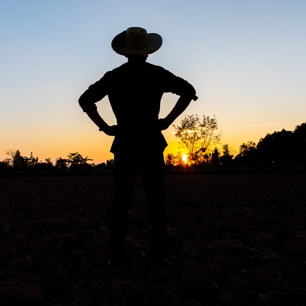 Joven migrante con sombrero observando el atardecer en un campo, simbolizando la esperanza y la lucha de los migrantes en sus comunidades. – SoyMigrante.com REVISTA