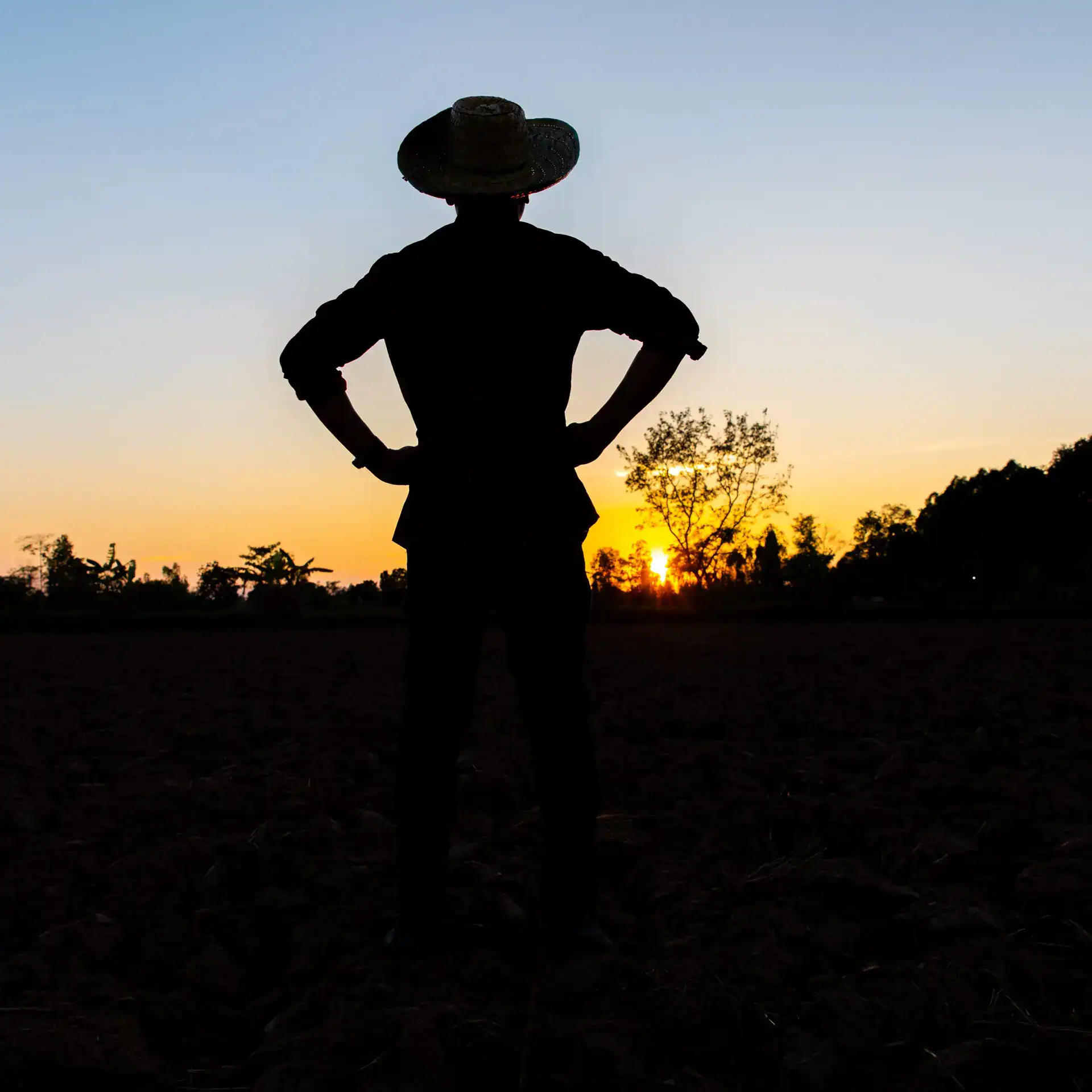 Trabajador migrante – SoyMigrante.com REVISTA Joven migrante con sombrero observando el atardecer en un campo, simbolizando la esperanza y la lucha de los migrantes en sus comunidades.