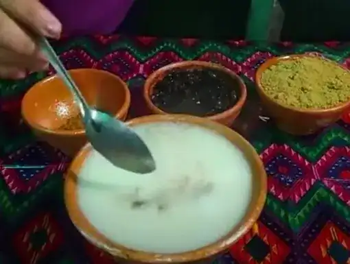 Sabores tradicionales mexicanos en platos con salsas y bebidas típicas, ideales para eventos culturales y culinarios. – SoyMigrante.com REVISTA