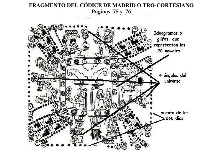  – SoyMigrante.com REVISTA
