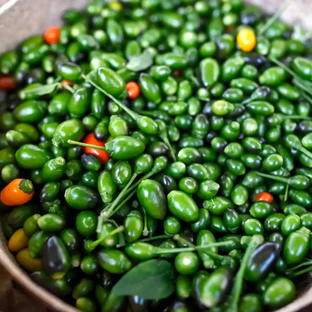 Chiltepe: El chile guatemalteco que enciende los sabores