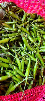 Verde y fresco chilli en una bandeja rosada, listo para cocinar o comer. Ideal para recetas mexicanas y condimentar platos tradicionales con sabor auténtico. – SoyMigrante.com REVISTA