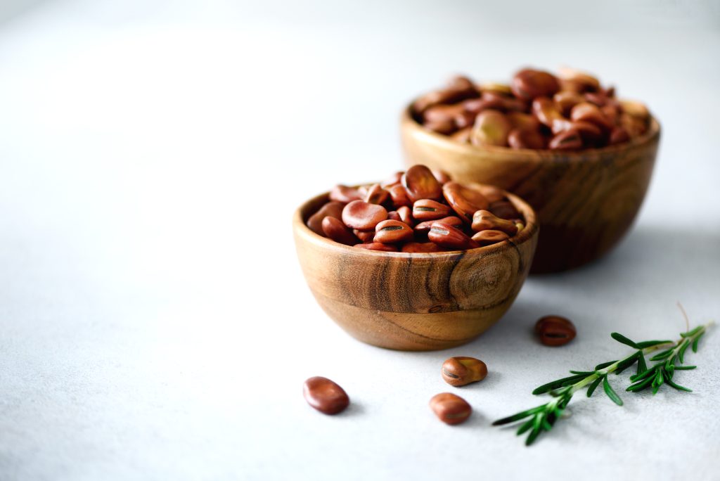 Organic dried broad beans in wooden bowls and rosemary on gray concrete background Fava Vicia beans Healthy food ingredients Copy space – SoyMigrante.com REVISTA – SoyMigrante.com REVISTA