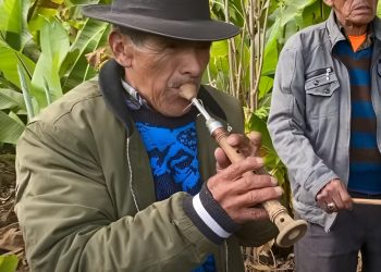 chirimia guatemala instrumento autóctono