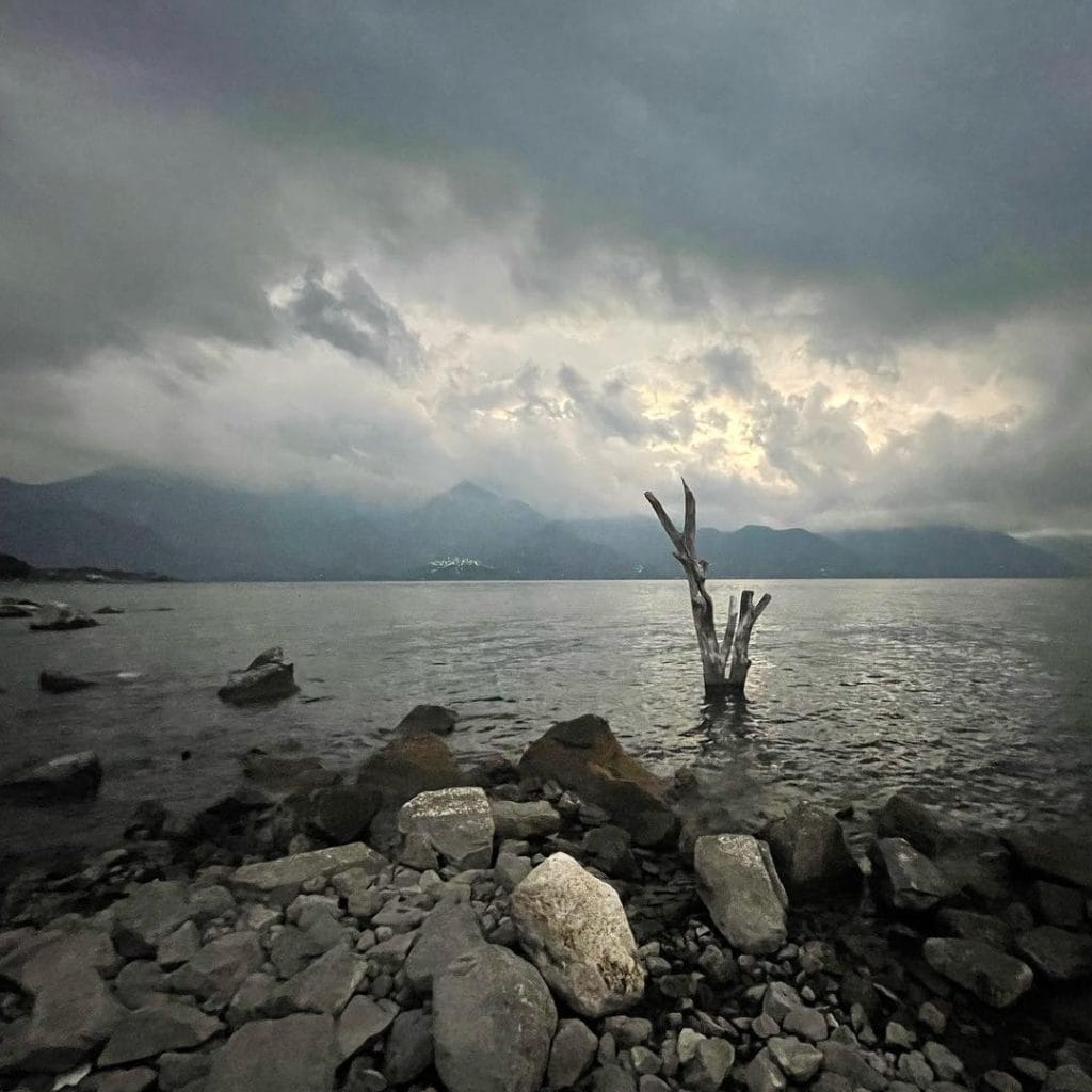 Árbol muerto en un lago con montañas y cielos nublados, imagen que refleja la resiliencia y desafíos de la migración en América Latina.