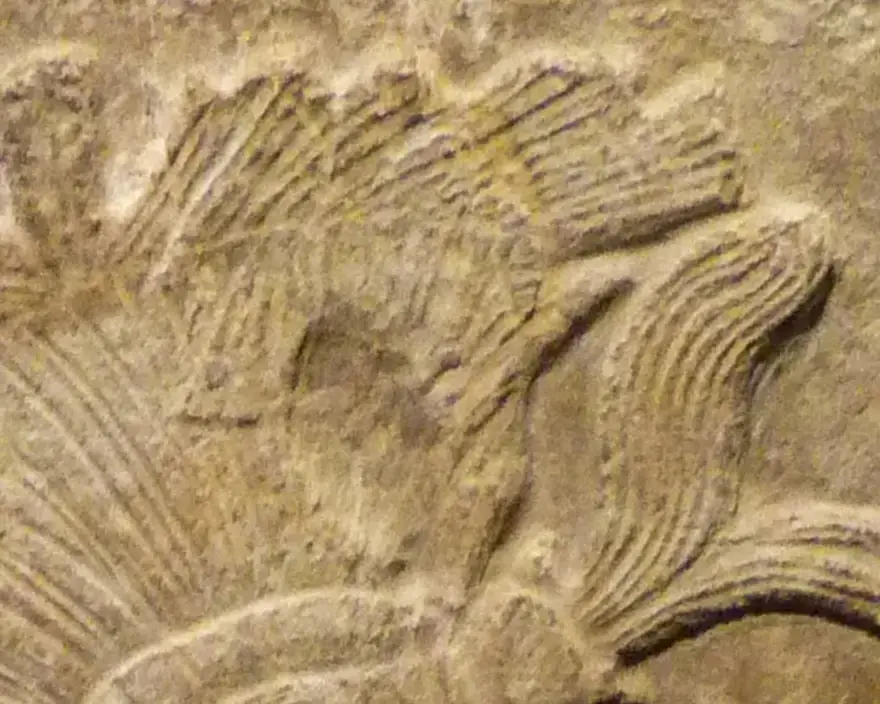 El tocado tiene plumas y otros posibles elementos textiles.