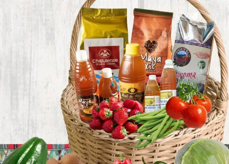 Variedad de productos orgánicos y alimentos naturales en una cesta de mimbre, resaltando la importancia de la alimentación saludable y la promoción del comercio justo en el contexto de SoyMigrante.com.
