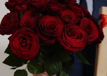 Guatemala exporta millones de rosas para decir Feliz Día de San Valentín ¿En qué países?