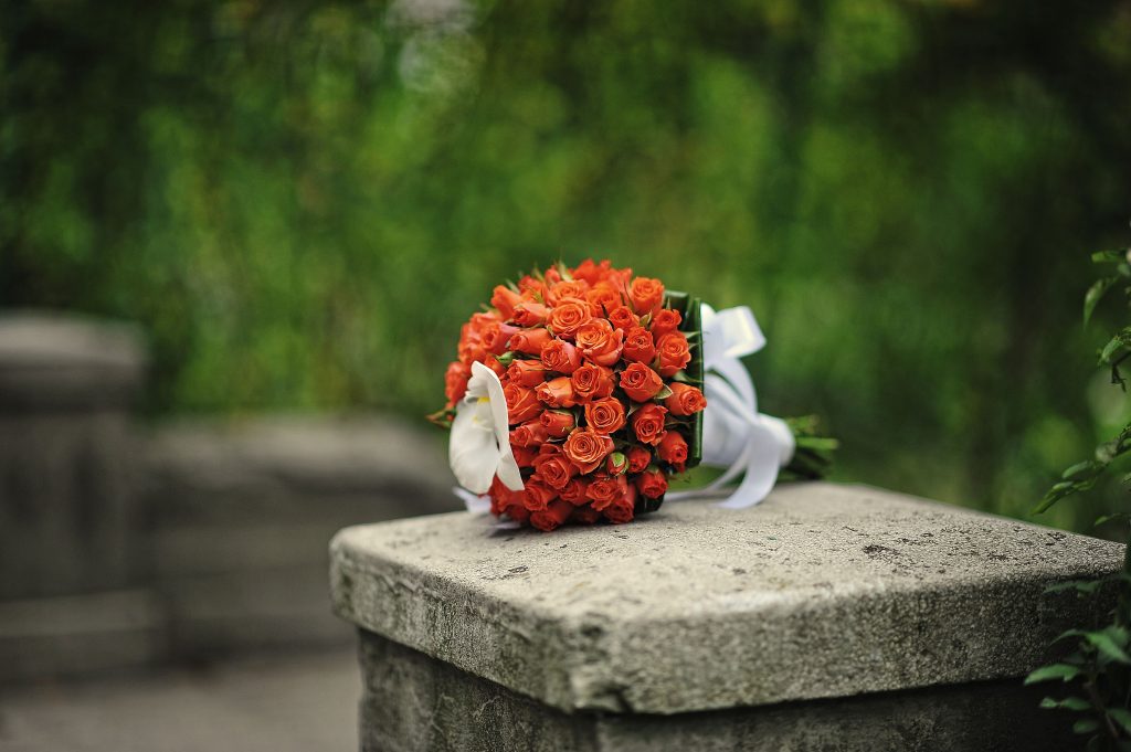 Aunque muchas veces lo que importa es el detalle, también es interesante aprender sobre el signficado de cada color en las rosas. Foto: Envato