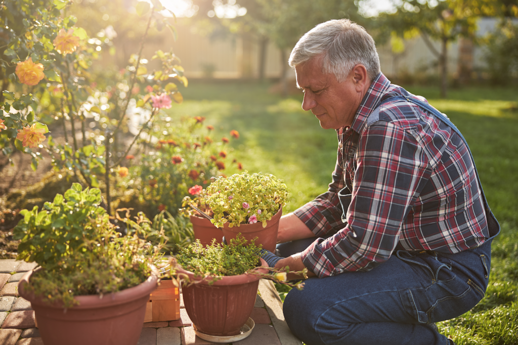 Cuidar la salud mental en la tercera edad – SoyMigrante.com REVISTA