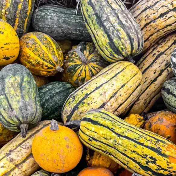 El ayote en dulce: un gustito tradicional guatemalteco. Así se prepara.