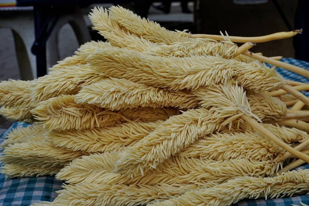 El corozo: aroma y tradición de Semana Santa en Guatemala – SoyMigrante.com REVISTA El corozo: aroma y tradición de Semana Santa en Guatemala – SoyMigrante.com REVISTA