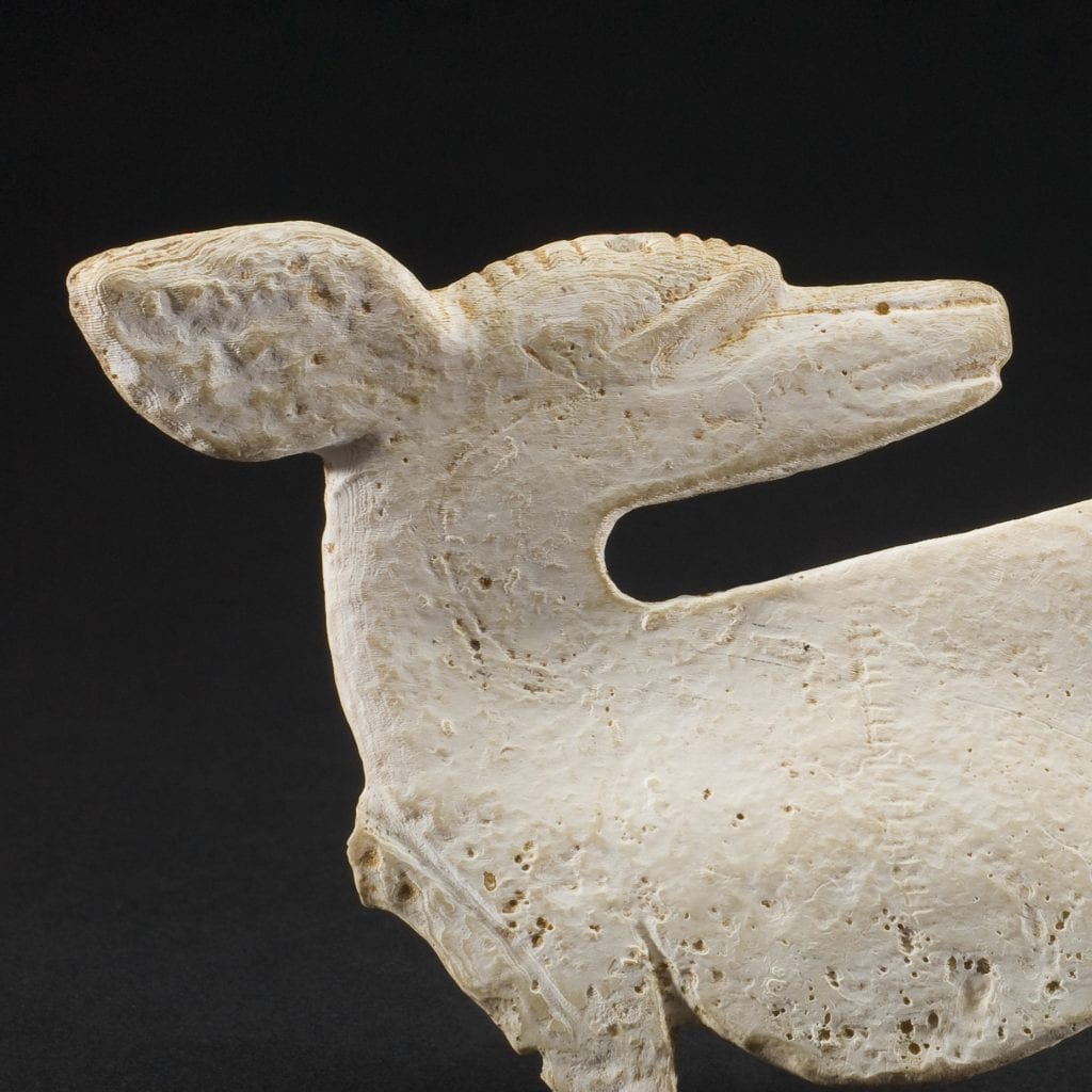 Fósil de mamut en hueso, pieza arqueológica de historia prehistórica, exhibida en SoyMigrante.com REVISTA que explora temas de migración, historia y patrimonio cultural. – SoyMigrante.com REVISTA