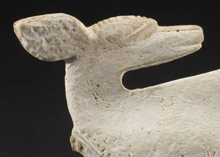 Fósil de mamut en hueso, pieza arqueológica de historia prehistórica, exhibida en SoyMigrante.com REVISTA que explora temas de migración, historia y patrimonio cultural. – SoyMigrante.com REVISTA