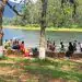 Personas disfrutando y socializando en un entorno natural junto a un lago en un día soleado, con árboles verdes y paisaje montañoso de fondo.