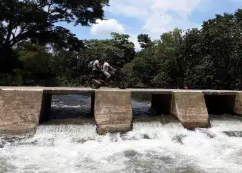 Moto en un puente sobre un río rodeado de árboles en un día soleado.