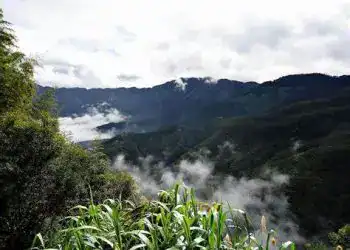 Paisaje de montañas verdes con niebla y cielo nublado en un entorno natural en América Latina.