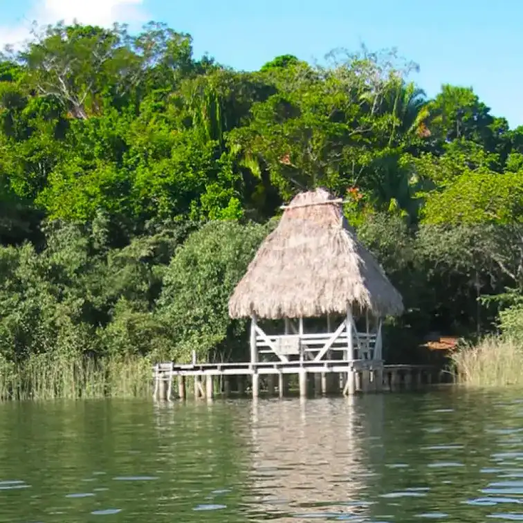 Biotopo Chocón Machacas: santuario natural y último refugio del manatí en Guatemala