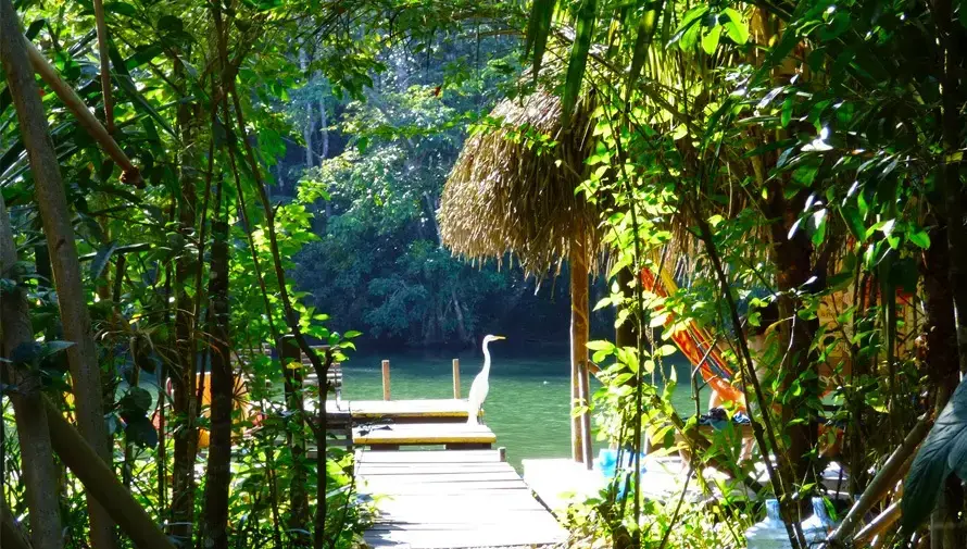 Biotopo Chocón Machacas: Santuario natural en el caribe – SoyMigrante.com REVISTA Biotopo Chocón Machacas: Santuario natural en el caribe – SoyMigrante.com REVISTA