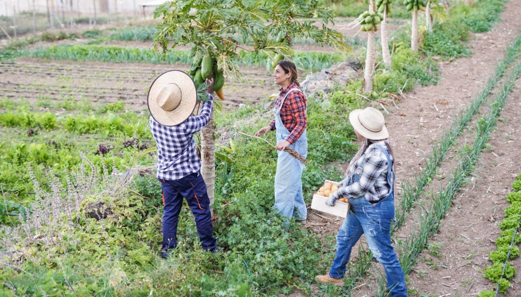 Conoce tus derechos Protección legal para trabajadores migrantes en Estados Unidos2 – SoyMigrante.com REVISTA Conoce tus derechos Protección legal para trabajadores migrantes en Estados Unidos – SoyMigrante.com REVISTA