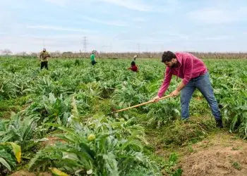 Conoce tus derechos: Protección legal para trabajadores migrantes en Estados Unidos