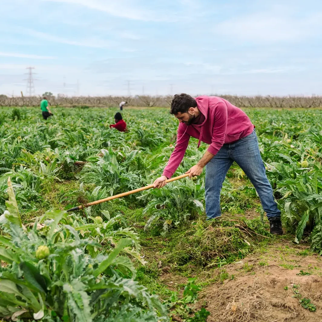 Conoce tus derechos: Protección para trabajadores migrantes en USA
