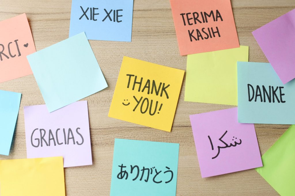 Estados Unidos y el inglés como idioma: ¿qué implica para otras lenguas? – SoyMigrante.com REVISTA