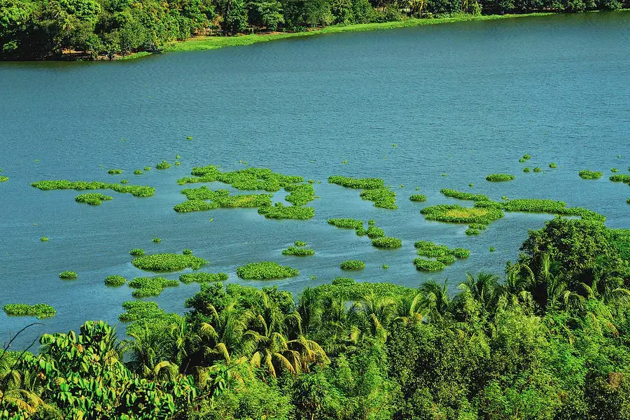Laguna del Comendador – SoyMigrante.com REVISTA La Laguna del Comendador: Un Tesoro Natural en Jutiapa – SoyMigrante.com REVISTA