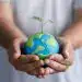 Renovación del planeta con una planta creciendo desde un globo terráqueo en manos humanas, simbolizando sostenibilidad y cuidado ambiental.