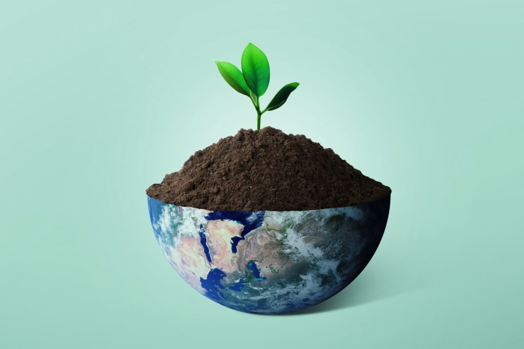 Reducir tu huella de carbono: recomendaciones para aplicar en casa – SoyMigrante.com REVISTA