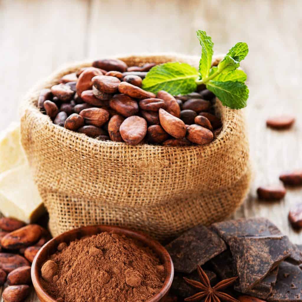 Nueces de cacao y polvo de cacao en un saco de yute con menta, canela y anís estrellado, ingredientes esenciales en la cultura y gastronomía del cacao. – SoyMigrante.com REVISTA