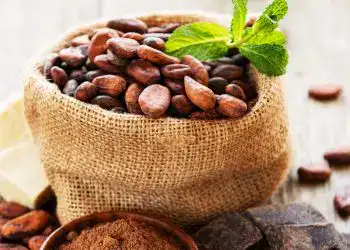 Nueces de cacao y polvo de cacao en un saco de yute con menta, canela y anís estrellado, ingredientes esenciales en la cultura y gastronomía del cacao.