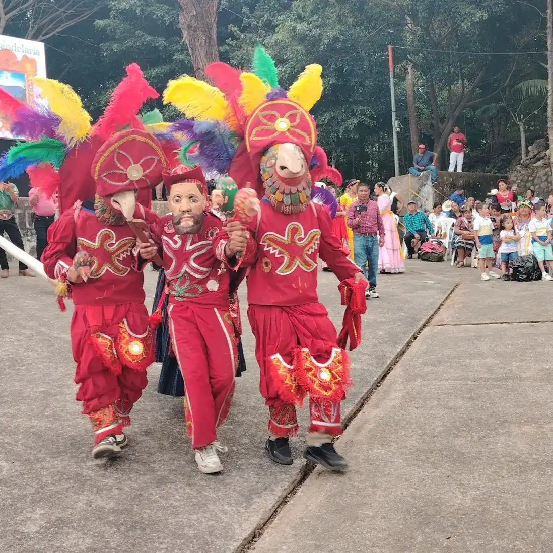 Danza de las Guacamayas Patrimonio cultural de Guatemala desde 2023 Se presenta cada año en SAnta Cruz Verapaz y en otras localidades del país donde les invitan. Fotografías Xixo Rax
